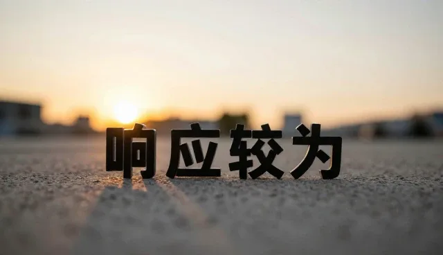 非标定制设备在工业场景中的实际应用与挑战